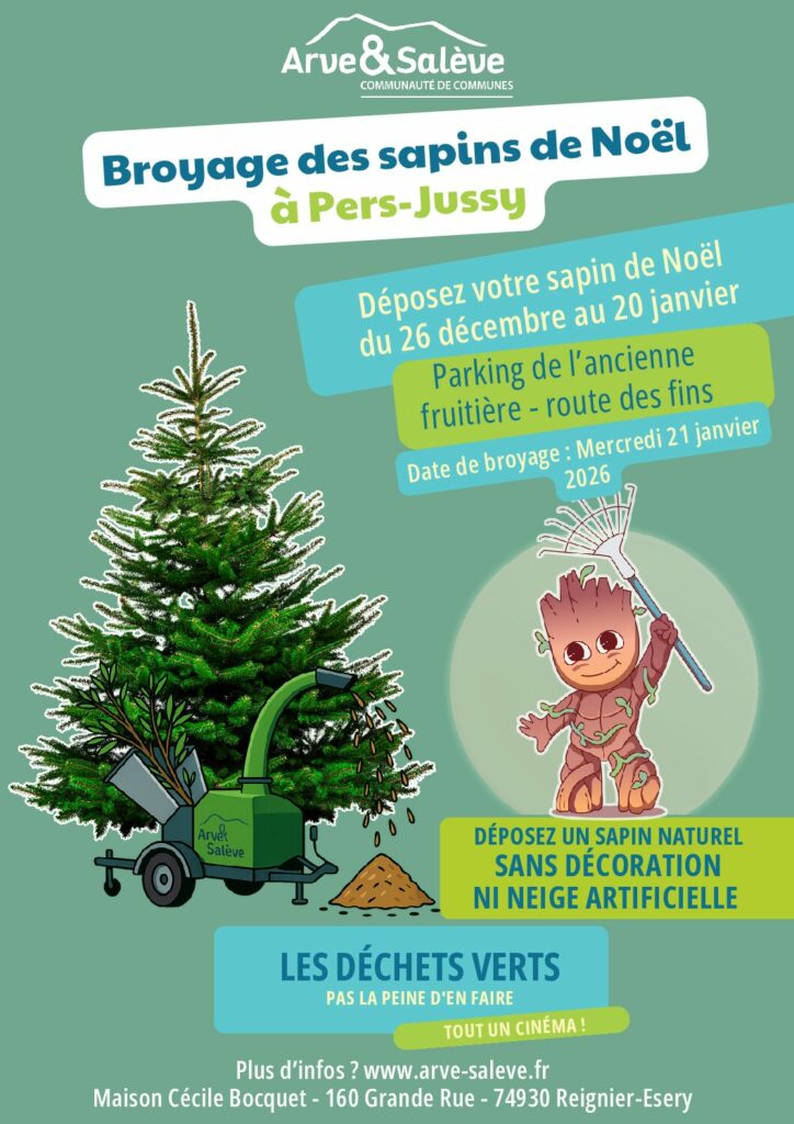 Broyage des sapins